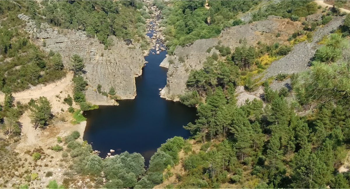 Terreno Pinhal (9) – Proença-a-Nova 5