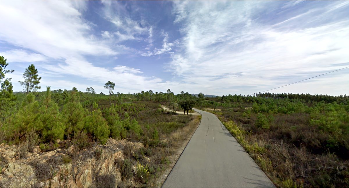 Terreno Rústico – Covão do Trigo – Proença a Nova