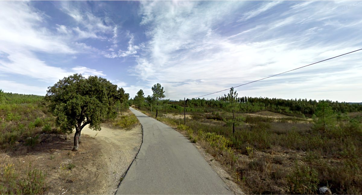 Terreno Pinhal (9) – Proença-a-Nova