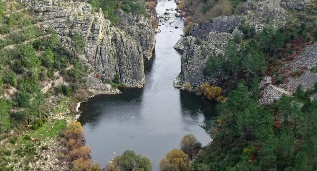 Terreno Pinhal (9) – Proença-a-Nova 2