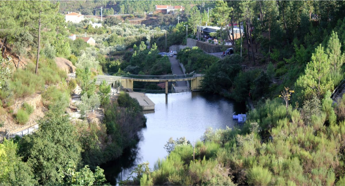 Terreno Pinhal (9) – Proença-a-Nova 3