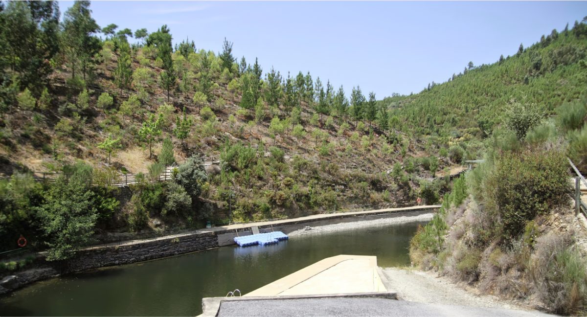 Terreno Rústico – Covão do Trigo – Proença a Nova 5