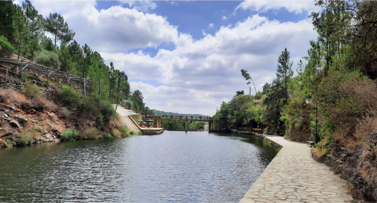 Terreno Rústico – Covão do Trigo – Proença a Nova 3